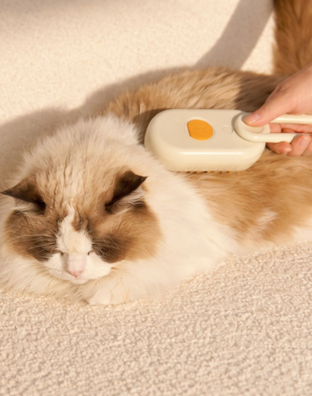 Escova a vapor 3 em 1 - CatHair®