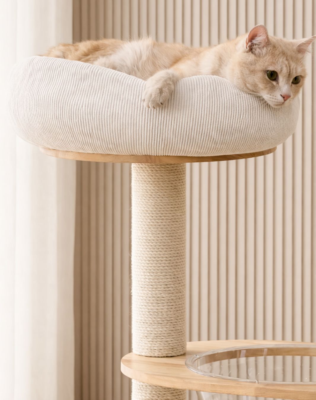 Playground NÓRDICO®