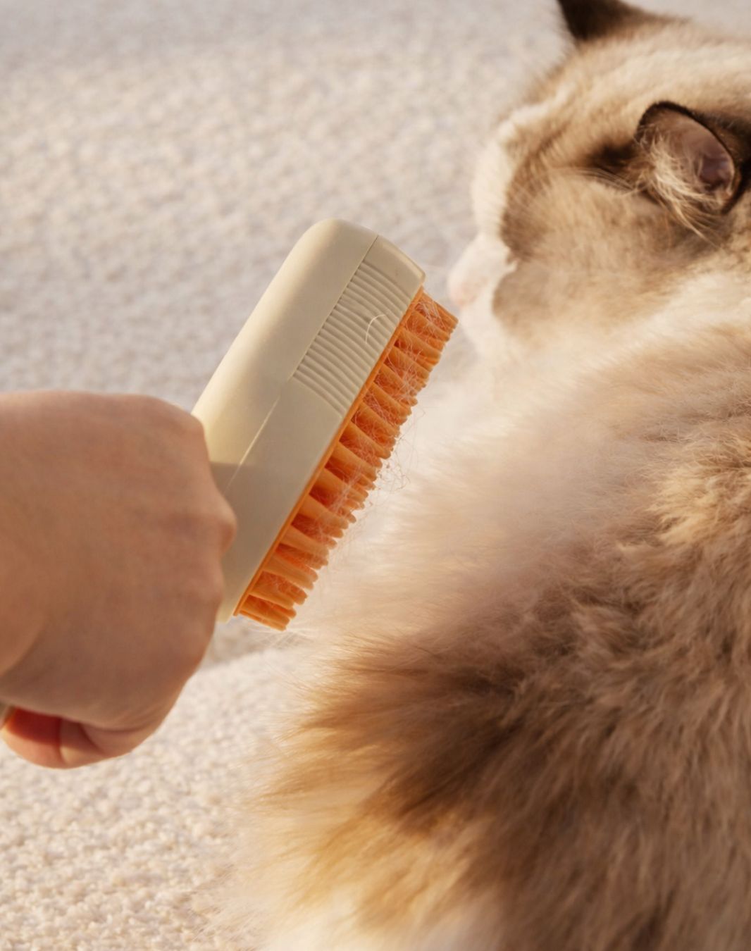 Escova a vapor 3 em 1 - CatHair®